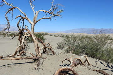 death valley sand dunes