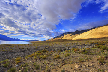 Obraz premium Morning light and beautiful scenery at Pangong Lake, Leh Ladakh, India