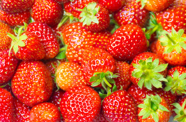 Strawberry Red And leaves Healthy fruit