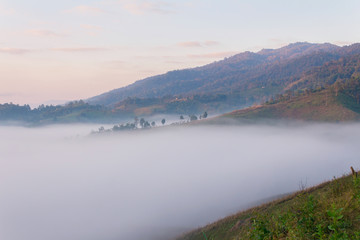 Fototapeta premium Fog path through the mountain farm uphill to the sky at morning time.