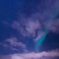 Naklejka na ściany i meble The polar arctic Northern lights aurora borealis sky star in Norway Svalbard in Longyearbyen city town mountains
