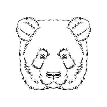 Black and white sketch of panda bears head, face of wild animal hand drawn vector Illustration