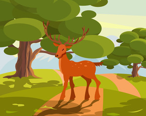 Summer wildlife landscape, deer with large branched horns on green forest background vector Illustration