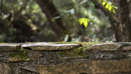 Stone table top on blurred background in the forest