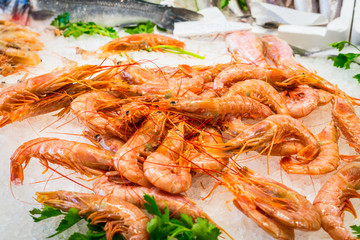 Raw fresh shrimp on ice at the fish market in Savona, Liguria, Italy