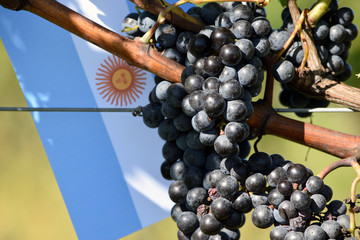Argentina © Comugnero Silvana