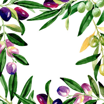 Olive tree frame in a watercolor style. Full name of the plant: Branches of an olive tree. Aquarelle olive tree for background, texture, wrapper pattern, frame or border.