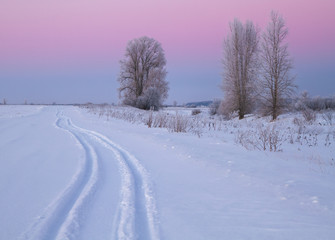Fototapeta premium frosty winter evening in the field and trace