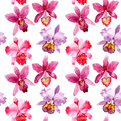 Wildflower pink orchid flower pattern in a watercolor style. Full name of the plant: pink orchid. Aquarelle wild flower for background, texture, wrapper pattern, frame or border.