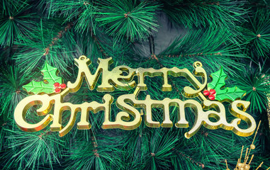 merry christmas written on pine tree background