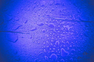 Raindrops on Violet Wood Filtered