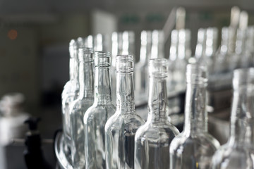 Empty glass bottles on the conveyor.