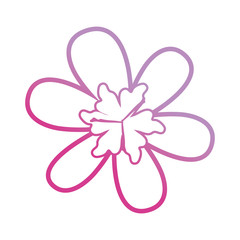 purple flower  vector illustration