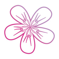 purple flower design  vector illustration