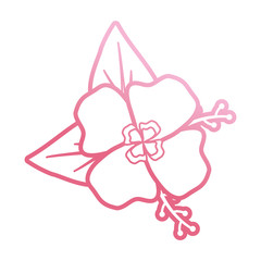 pink flower design  vector illustration