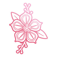 pink flower design  vector illustration