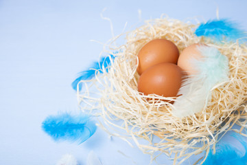 Easter still life with nest