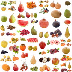 Fototapeta na wymiar group of fruits