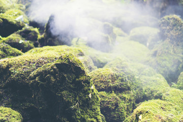 Hot Springs In National Park And Natural Mineral