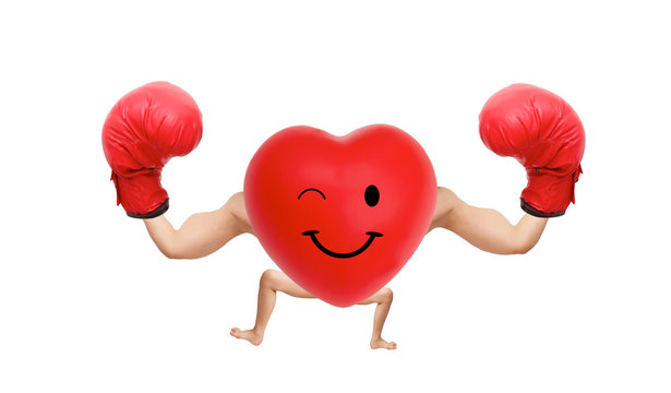 Clipping path. The Photo of heart with muscular boxing arms. The concept of a strong heart