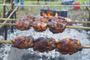 grilled Chicken on field