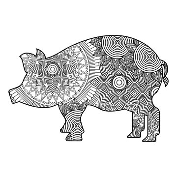 hand drawn for adult coloring pages with pig zentangle monochrome sketch vector illustration