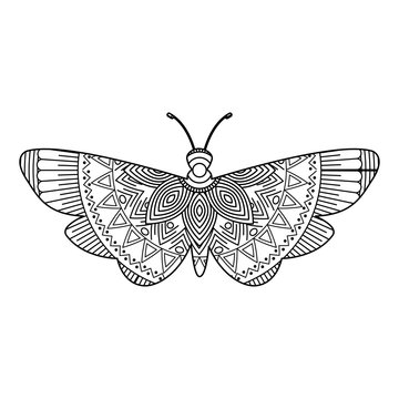hand drawn for adult coloring pages with moth bug zentangle monochrome sketch vector illustration