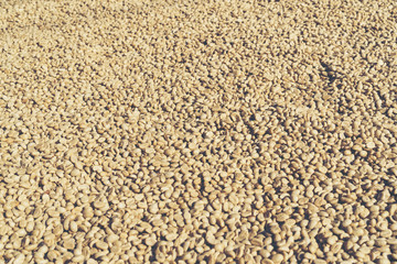 coffee beans process in Thailand