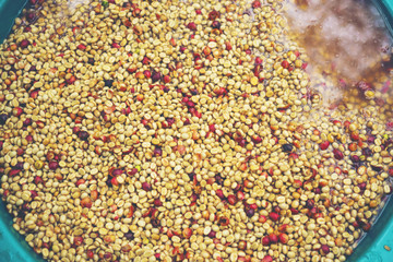 coffee beans process in Thailand