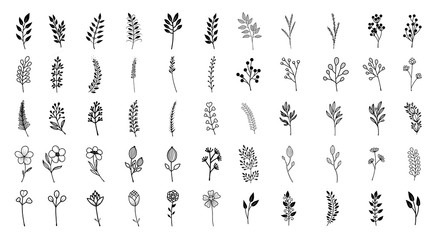 Bloom collection. Set of hand-drawn flowers, branches and leaves. Nice to combine among themselves and to create your own unique design.