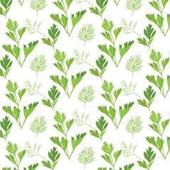 seamless pattern with parsley and dill