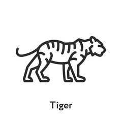 Wild Bengal Tiger Standing Minimal Flat Line Outline Stroke Icon