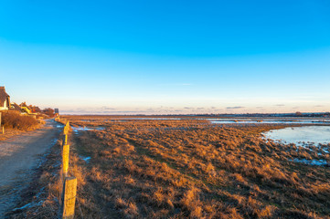 Winterliche Landschaft im Naturschutzgebiet Graswarder in Heiligenhafen