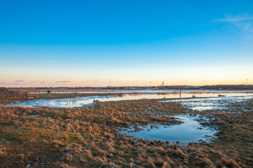 Winterliche Landschaft im Naturschutzgebiet Graswarder in Heiligenhafen