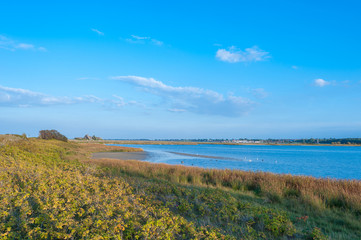 Naturschutzgebiet Graswarder in Heiligenhafen
