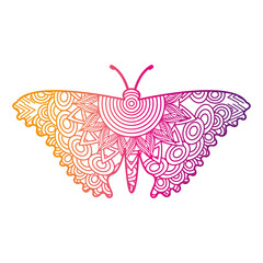 hand drawn for adult coloring pages with butterfly zentangle  vector illustration color line gradient design