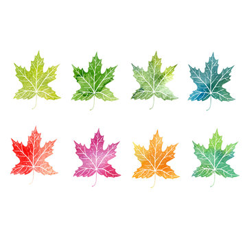watercolor set of tree leaves