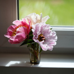 A bouquet of delicate peony in a vase on the window.