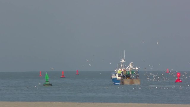 Chalutier &agrave; la p&ecirc;che en baie de Somme