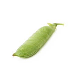 Green pea bean isolated