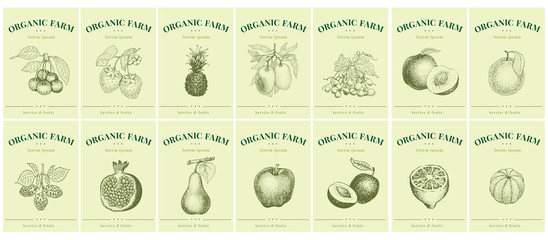 Labels with fruits and berries. Set templates price tags for shops and markets of organic food. Vector illustration art. Vintage. Hand drawn nature objects.