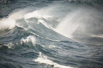 Naklejka premium White crest of a sea wave. Selective focus. Shallow depth of field. Toned