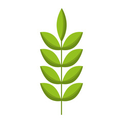 spring branch with green leaves natural vector illustration