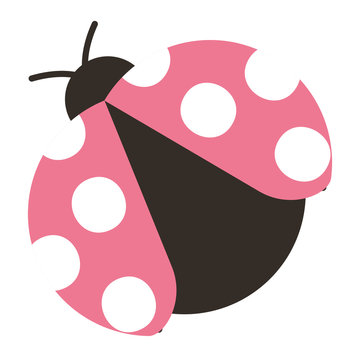 ladybug insect small icon animal vector illustration