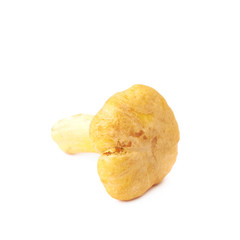 Yellow chanterelle mushroom isolated