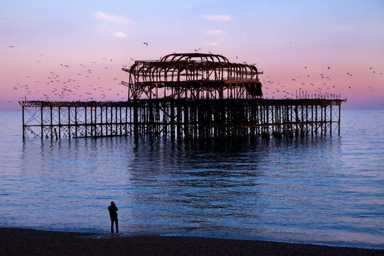 Brighton West Pier at sunset with birds flying round it