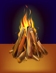 realistic burning bonfire with wood