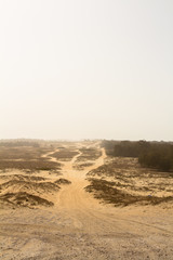 désert