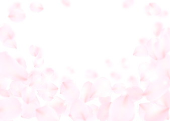 花びら　ピンク　桜　バラ