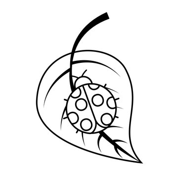 ladybug on leaf spring time vector illustration outline image